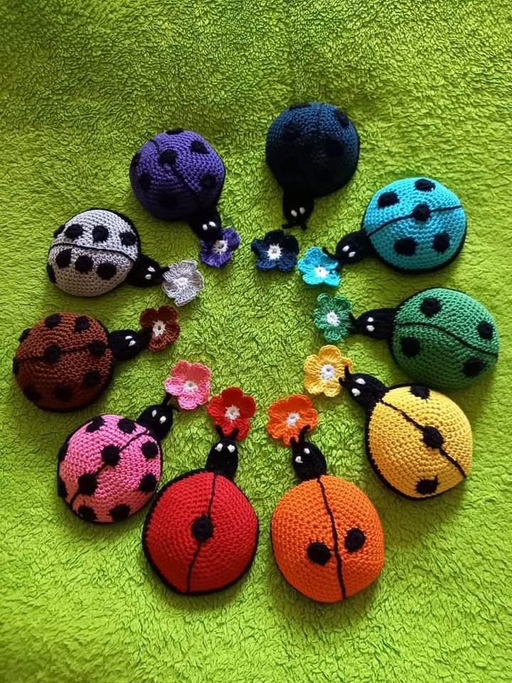 281287400_434663261802933_5991966801909093688_n