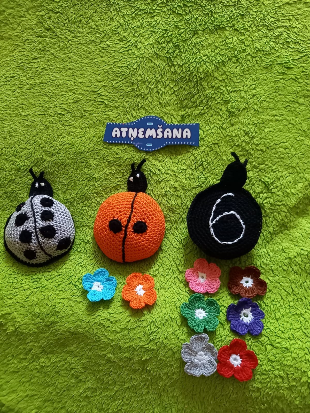 282004015_434663565136236_8837209297672216144_n